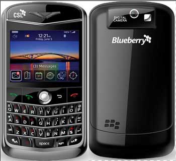 csl-blueberry-8250